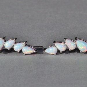 Pu&ograve; includere: Un paio di orecchini argentati con una serie di pietre opalescenti a forma di goccia. Le pietre hanno una base bianca lattea con lampi di colore. Gli orecchini sono su uno sfondo grigio.