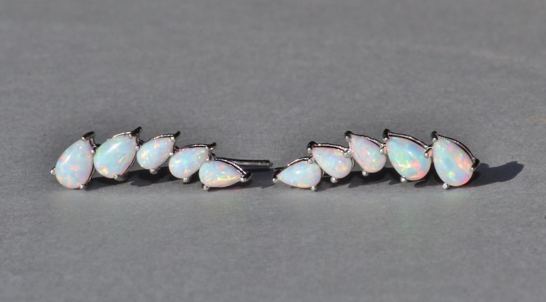 Pu&ograve; includere: Un paio di orecchini argentati con una serie di pietre opalescenti a forma di goccia. Le pietre hanno una base bianca lattea con lampi di colore. Gli orecchini sono su uno sfondo grigio.