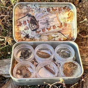 May include: A small, open metal tin with a decorative lid featuring butterflies, dragonflies, and musical notes. Inside, six small clear jars hold various insect specimens. The tin sits on a bed of dried grass.