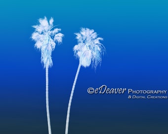 Palms on Sky - Fine Art Photography Digital Photo, High-Resolution, Instant Download