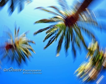 Spinning Palms - Fine Art Photography Digital Photo, High-Resolution, Instant Download