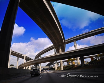 Concrete Jungle - Fine Art Photography Digital Photo, High-Resolution, Instant Download