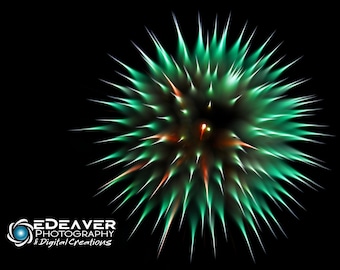Fireworks! - Fine Art Photography Digital Photo, High-Resolution, Instant Download