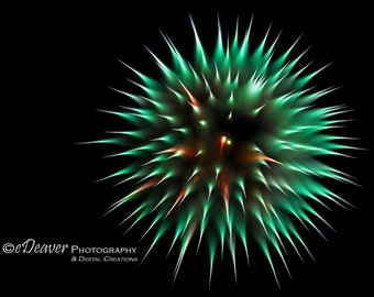 Fireworks! - Fine Art Photography Digital Photo, High-Resolution, Instant Download