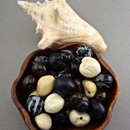 Loose Kukui Nuts Natural Collection Colors 50 Nuts per Etsy