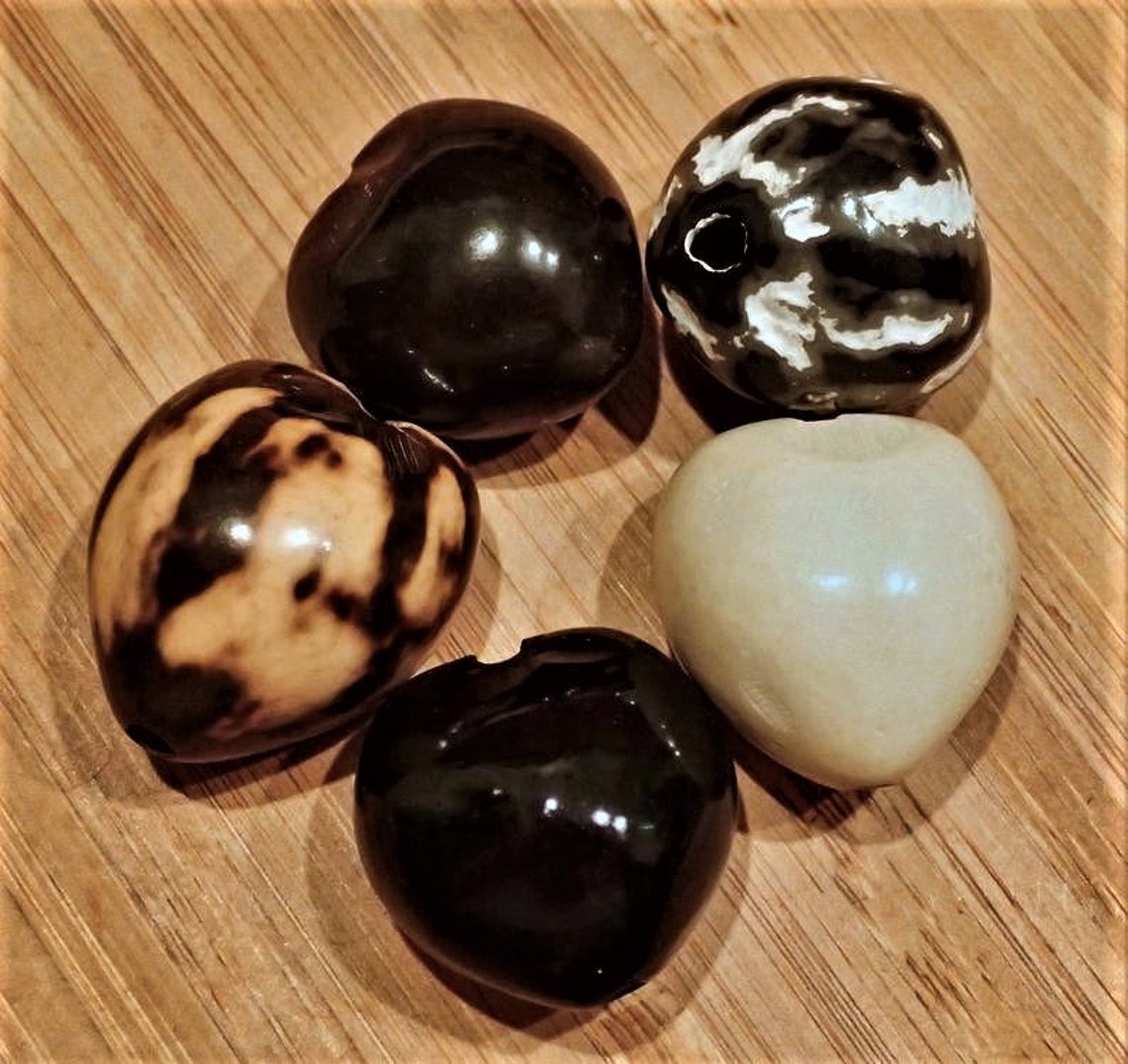 Loose Natural Kukui Nuts Choose Your Colors Etsy