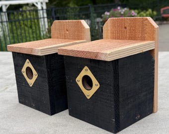 Coppia di casette per uccelli in cedro fatte a mano / Design moderno, anello in ottone, apertura inferiore facile da pulire