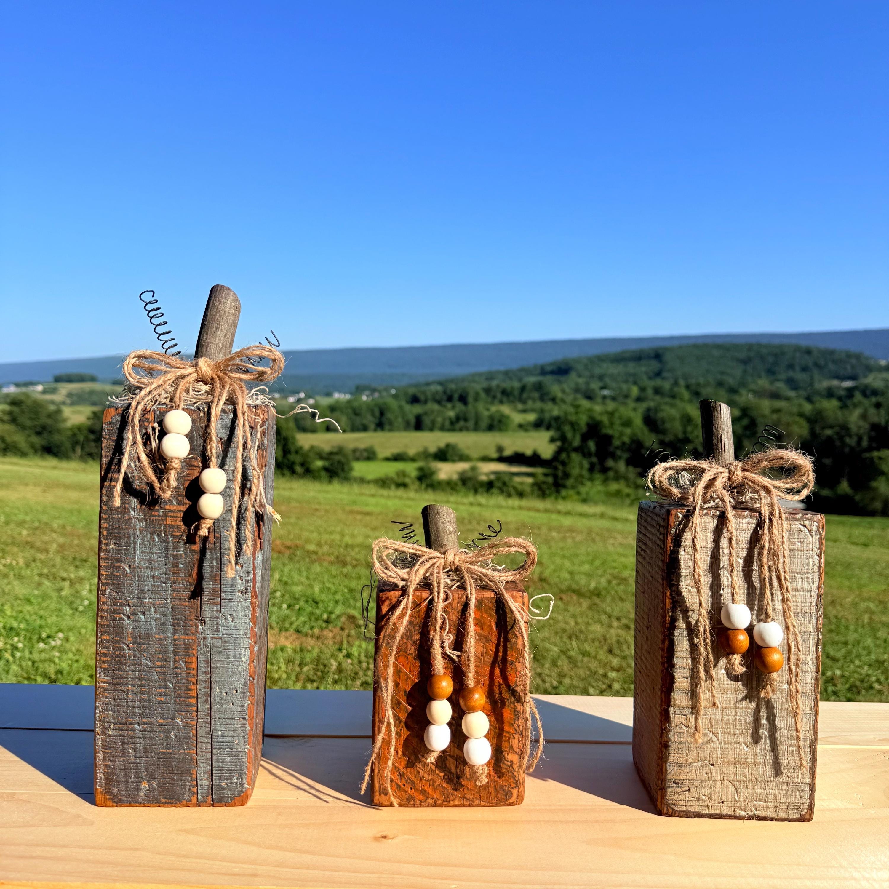 Decor Pumpkins/ Book Ends - Thumbnail 2