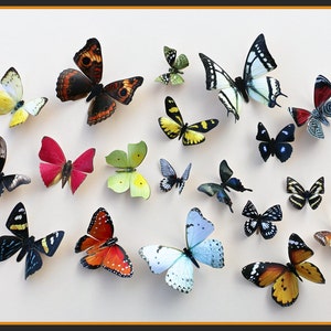 3D Wall Butterflies - 15 Colorful Butterfly Silhouettes, Nursery, Home Decor, Wedding