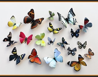 3D Wall Butterflies - 15 Colorful Butterfly Silhouettes, Nursery, Home Decor, Wedding