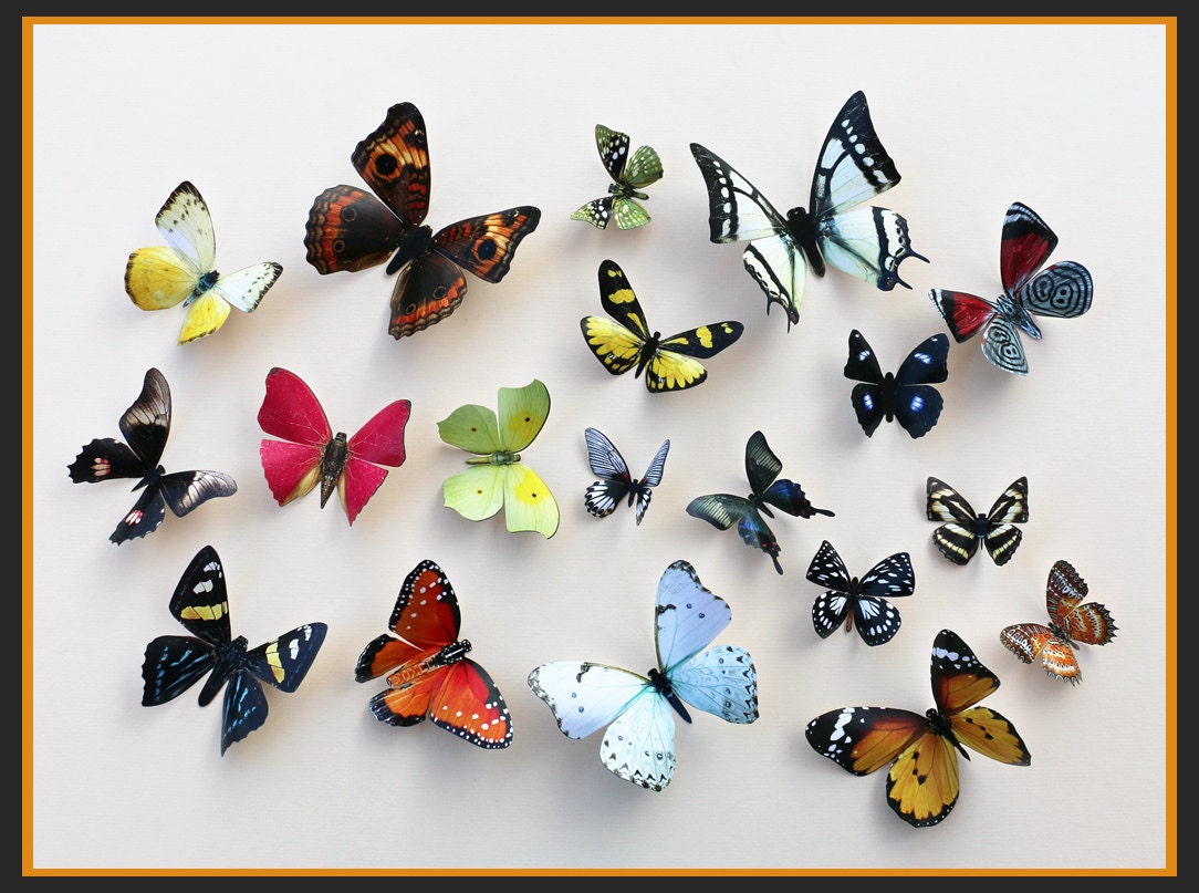 Wall Decor Home Decor Wall Hangings 20 White Butterfly Silhouettes