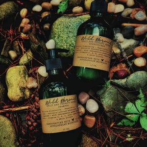 Organic Goat Milk Shampoo and Conditioner: Aloe & Flax Seed, Okra Peptide | Vitamin Rich