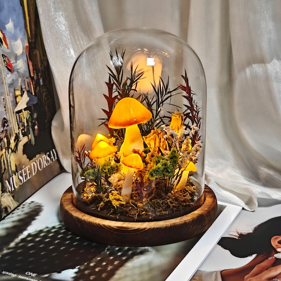 Veilleuse champignon faite main, lampe champignon magique, forêt enchantée, décoration d&#39;intérieur, cadeau d&#39;anniversaire ou de Noël