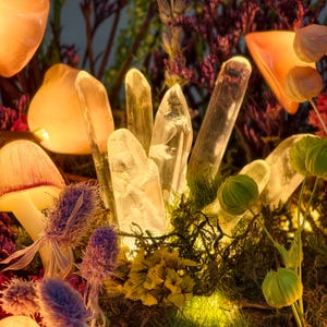 May include: A close-up shot of a mystical arrangement. It features illuminated clear quartz crystals, mushrooms, and dried flowers. The scene is bathed in warm, golden light, creating a magical atmosphere. The crystals are the focal point, surrounded by moss and other natural elements.