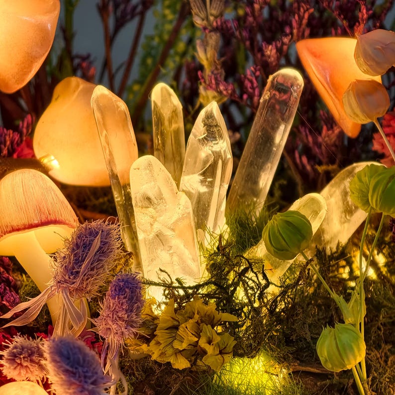 May include: A close-up shot of a mystical arrangement. It features illuminated clear quartz crystals, mushrooms, and dried flowers. The scene is bathed in warm, golden light, creating a magical atmosphere. The crystals are the focal point, surrounded by moss and other natural elements.