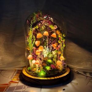 May include: A decorative glass cloche on a wooden base, featuring a miniature illuminated mushroom and floral arrangement. The mushrooms have orange caps and are lit with small lights, creating a whimsical aesthetic. The arrangement includes crystals and various plants.