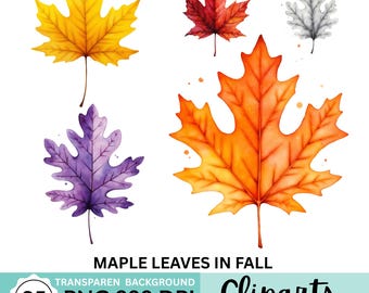 Watercolor Maple Leaves Clipart | Fall Autumn Leaf PNG Bundle | 25 Transparent Background Images | Digital Download for Crafts & DIY
