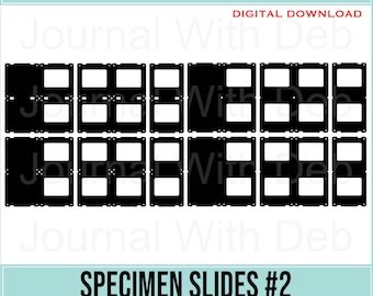 Specimen Slides #2 -SVG, PNG, Cut Files & Printable Templates- 3 styles - 3 of each design - Junk Journal, Scrapbook, botanical, Insect