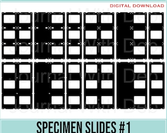 Specimen Slides #1 -SVG, PNG, Cut Files & Printable Templates- 3 styles - 3 of each design - Junk Journal, Scrapbook, botanical, Insect
