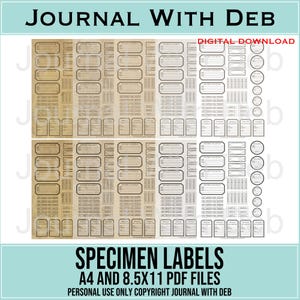 Op de afbeelding: Digitale download van specimen labels in A4- en 8,5x11 PDF-bestanden. De labels zijn in vintage stijl met verschillende vormen en maten, waaronder rechthoeken en ovalen. De tekst "JOURNAL WITH DEB" en "SPECIMEN LABELS" is zichtbaar.