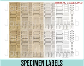 Specimen Labels - 5 Styles, 2 of each style - A4 & 8.5x11 PDF'S - Junk Journal, Scrapbook, Entomology, Plant, Curator, Printable