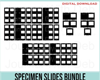 Specimen Slides Bundle -SVG, PNG, Cut Files & Printable Templates- 8 styles - 3 of each design - Junk Journal, Scrapbook, botanical, Insect