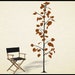 see more listings in the Trees, Grass wall decals section