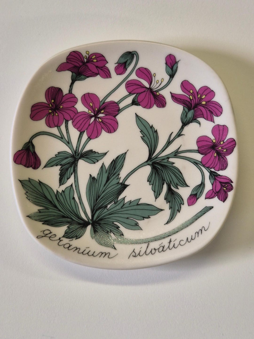 arabia-botanica-wall-plate-esteri-tomula-1988-1989-etsy