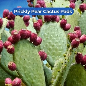 May include: A cluster of light green, oval-shaped prickly pear cactus pads covered in small spines, featuring numerous vibrant magenta-colored fruits growing along the edges. A blue banner with the white text Prickly Pear Cactus Pads is visible.