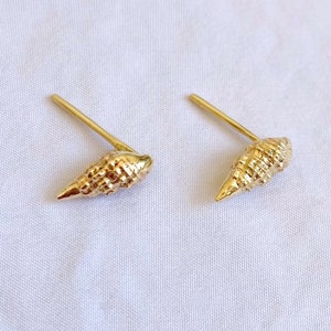 READY TO SHIP, Gold SeaShell Stud Earrings, 14K Yellow Gold Studs, Small Seashell Earrings 画像 1