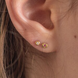 以下が含まれることがあります： 小さな金のイヤリングを2つつけた耳のクローズアップ。下の耳たぶのイヤリングは中央に小さな赤い宝石が、上の耳たぶのイヤリングは中央に小さな白い宝石が埋め込まれています。