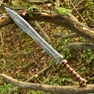 May include: A long, silver sword with a patterned blade and a wooden handle. The handle is a dark brown color with gold accents. The sword is resting on a tree branch, with a blurred background of leaves and branches.