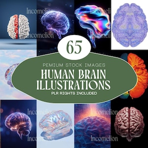 May include: A collection of 12 images depicting human brain illustrations. The images display diverse artistic interpretations of the brain, including cross-sections and 3D renderings, with vivid colours and textures. Text on the image reads "65 Premium Stock Images Human Brain Illustrations PLR Rights Included."