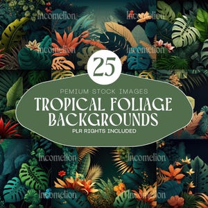 May include: A selection of 25 tropical foliage backgrounds featuring vibrant green, orange, and yellow leaves. The image showcases diverse tropical plants, including monstera leaves. The text on the image reads "Tropical Foliage Backgrounds", with "PLR Rights Included".
