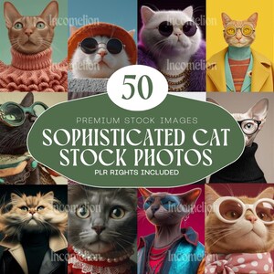 50 sofistikerade stockbilder på katter – Elegant redaktionell husdjursfotografering (direkt nedladdning)