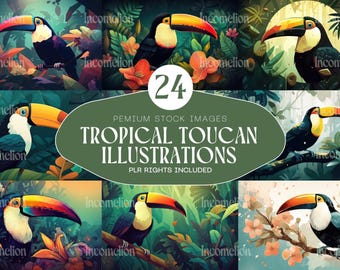 25 Tropical Toucan Illustrations PNG Pack Exotic Bird Clipart for Designers Bloggers Social Media Posters Digital Products and Artists