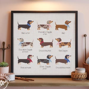 Dachshund Sampler Cross Stitch Pattern, Sausage Dog with Scarf (PDF Pattern