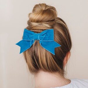 May include: A blue velvet bow tied in a hair bun.