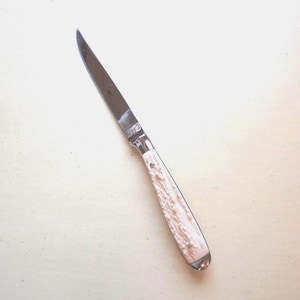 May include: A stainless steel knife with a light-colored, textured handle. The blade is long and slender, with a pointed tip. The handle appears to be made of bone or a similar material. The date 05/14/2025 is visible in the bottom right corner.
