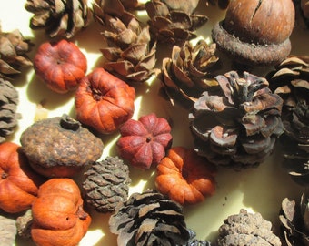 Miniature Faux Pumpkins Real Natural Acorns Pine Cones Miniatures Doll House Accessories Craft Supplies