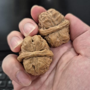 Noci Wenwan a testa di rospo, 38-40 mm, coppia di noci naturali per massaggio alle mani, noci per esercizi e meditazione.