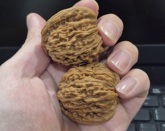 1.1 ポンドのグリーン シー ジャスパー/オーシャン ジャスパー