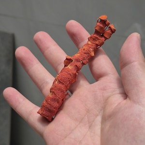 Natural Red Coral Branch 10-15cm, Raw Coral Specimen, Random Selection, Lucky Pocket Coral image 5