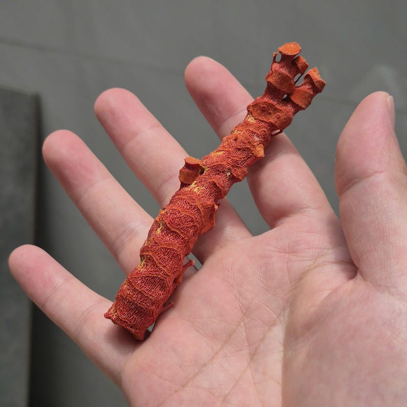Natural Red Coral Branch 10-15cm, Raw Coral Specimen, Random Selection, Lucky Pocket Coral image 5