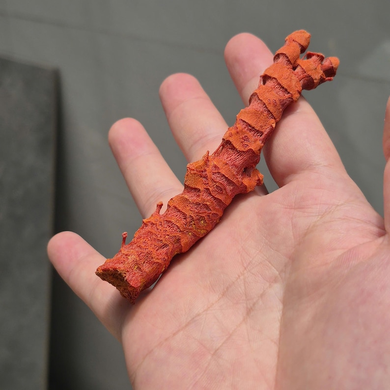 May include: A textured, cylindrical piece of organic matter with a vibrant orange-red hue. The object features a segmented, bark-like surface with deep ridges and a porous, uneven appearance, tapering slightly toward the top with a branched end.