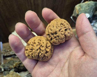 Natural Wenwan Walnut Pair Small Size 35-39mm, Hand Exercise Balls