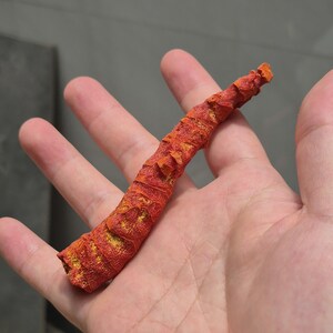 May include: A textured, elongated object with a vibrant orange and red exterior, featuring a segmented, organic appearance with a rough, uneven surface. The object tapers toward one end and displays subtle yellow undertones within its crevices.