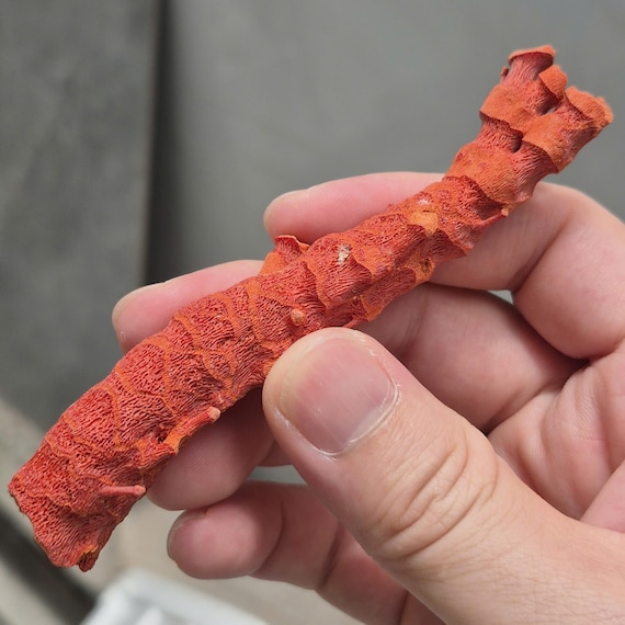 Natural Red Coral Branch 10-15cm, Raw Coral Specimen, Random Selection, Lucky Pocket Coral