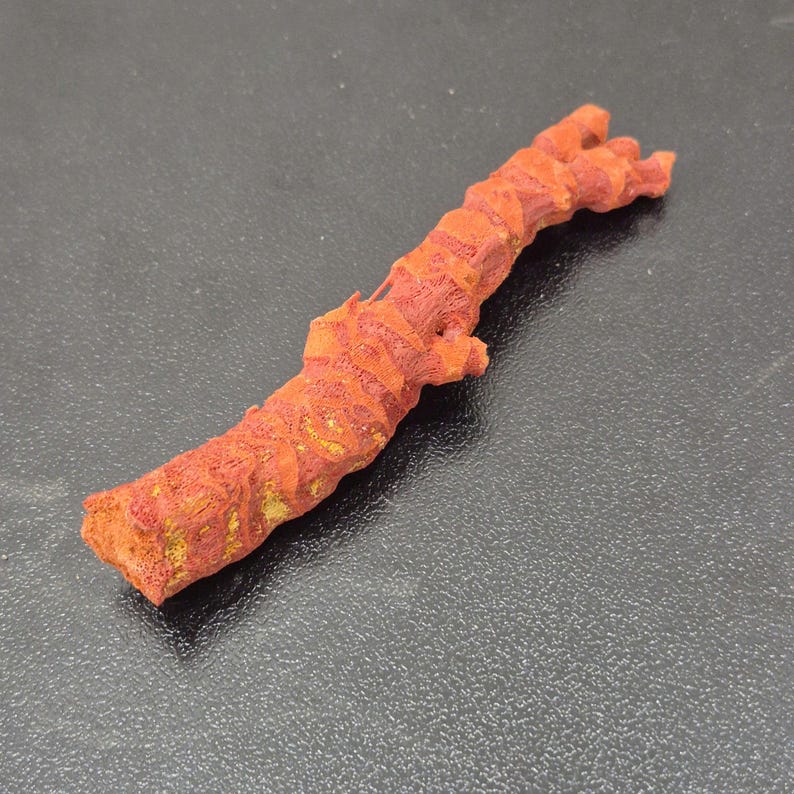 May include: A single piece of raw, organic red coral with a porous, textured surface. The coral has a cylindrical, branch-like shape with a slightly irregular, segmented appearance and natural yellow-toned mineral deposits visible throughout.