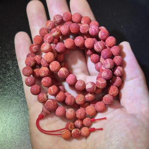 Puede incluir: Un collar de cuentas esf&eacute;ricas, porosas y de color rojo con una superficie texturizada. Las cuentas est&aacute;n ensartadas en forma circular, con un cord&oacute;n rojo que se extiende desde el extremo y termina en dos peque&ntilde;as cuentas colgantes.
